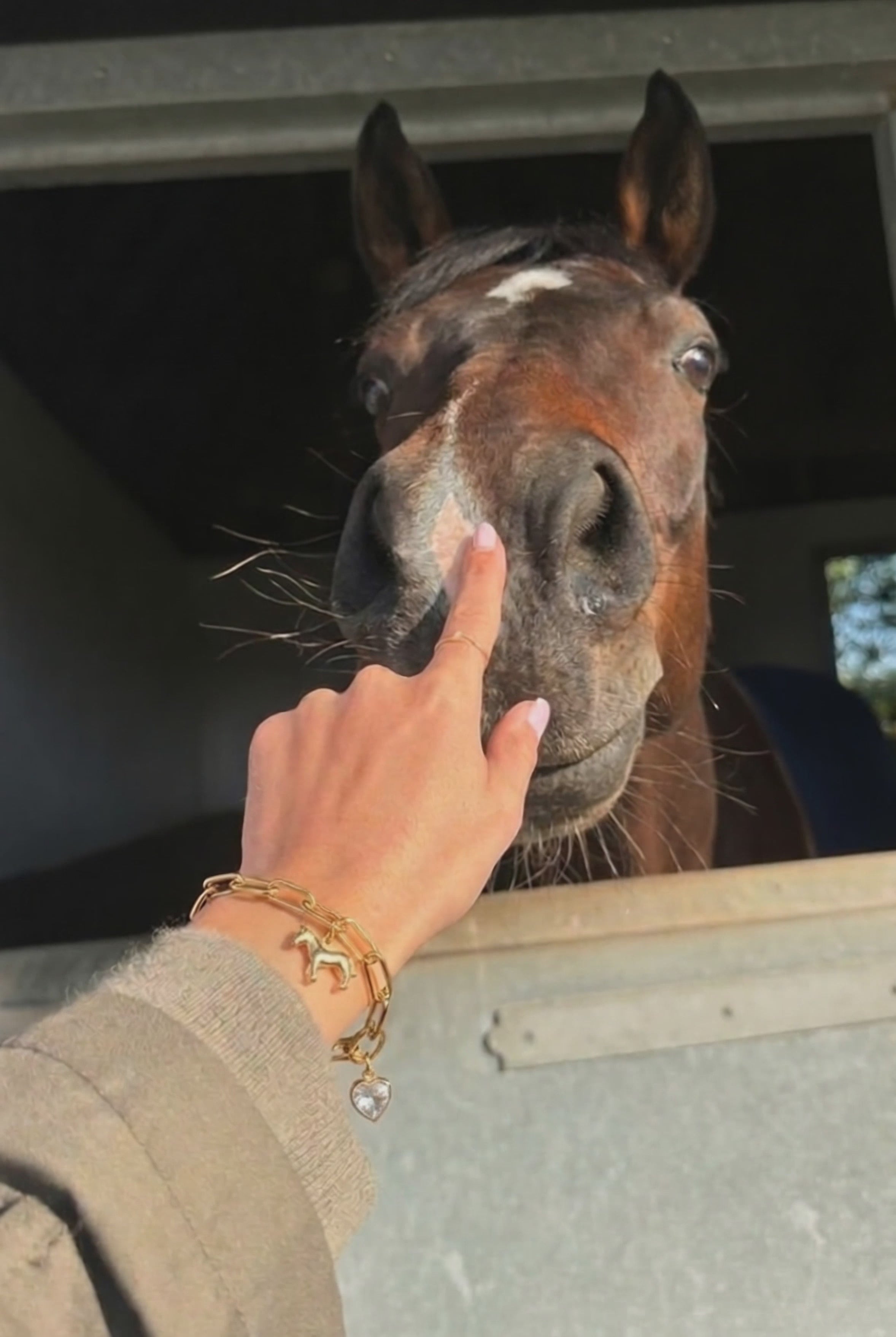 Pulsera - Lucky Ride Bracelet